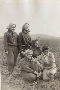 Potato summer job, Jitka Chaloupková first from the left, 1959