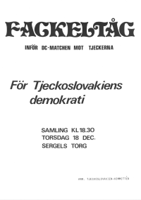 Procesí s pochodněmi v souvislosti s tenosivým zápasem proti Československu. Organizátor Výbor solidarity s východní Evropou (1978)