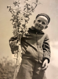 About five-year-old Miloš in Marenice
