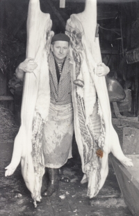 František Bauer starší během jedné z otovických zabijaček v 60. letech