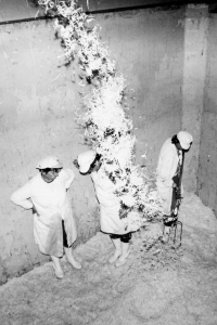 Vsypávání krouhanky ze zelí a jeho ušlapávání v kádích v podniku JZD Pokrok Otice, 70. léta dvacátého století