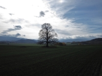 Místo, kde stávala osada Annín