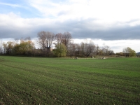 V pozadí kaple svatého Josefa v Anníně v roce 2013