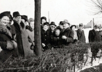 Členové správní rady Plzeňského pivovaru s manželkami (vlevo za stromem asi patnáctiletá Jana Šebelíková, vpravo v černých brýlích otec Jan Šebelík, před ním stojí mladší dcera Alexandra), pravděpodobně foceno v areálu plzeňského pivovaru, cca 1940