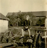 Na trávní sekačce vedle vejminku, Klipec 24, 1944