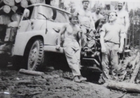 Práce v lese, Dominik Paulovič vpravo dole