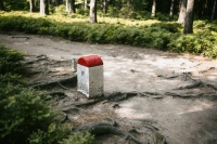 Hraniční kámen na Borůvkové hoře v Rychlebských horách