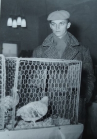 Adolf Ruš holubář