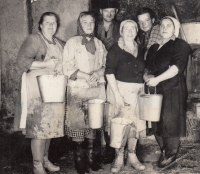 Milkmaids in the cooperative farm in Přílepy. First from the left is Amálie´s Gajdošíková's mother, Vlasta Sovadinová