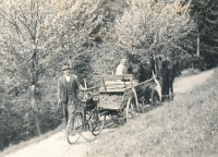 Otec u bicyklu a pamětníkův kmotr s koňským potahem na cestě do Lapušníku