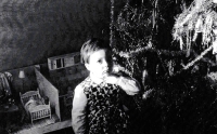 Dcera Jana Malypetra s domečkem pro panenky, který vyrobil , Strašnice, 1967