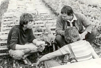 S kolegy z prunéřovské elektrárny při obnově lesa v Krušných horách (pamětník vlevo), 1986