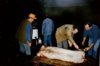 Zabíjačka, manžel Karel Stehlík - druhý zprava, 1995