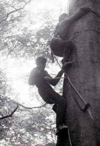 Lubomír Peške s kamarádem šplhají na stromy k jestřábím hnízdům / 1966