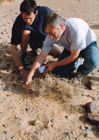 Lubomír Peške u hnízda dropa obojkového / Maroko / 1999