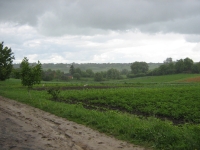 Krajina v okolí Českého Malína v roce 2009