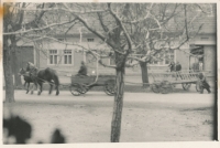 Likvidace sedláka 2 - Hostýnek odvádí Rumíškova koně 