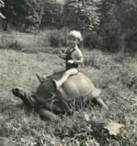 Jaromír Dolanský a želva v pražské zoo v Troji, cca 1958