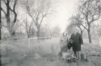 Rodiče Ivana Nekudy se psem Andym v třešňovém sadu, Mělník-Mlazice, cca 1974