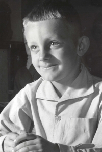 Bratr Vlasty Gallové