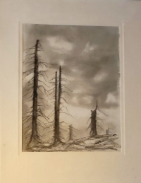 Kresba inkoustem Josefa Mrňáka – smrkové stromy v Jizerských horách napadené kůrovcem v 80. letech 20. století