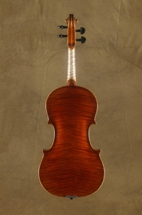 housle - David Pötzl