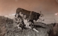 Milada Tahotná (uprostřed), Polná, 1957