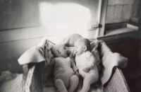 Dvojčata Michael (vlevo) a Jan-Christopher (vpravo) jako miminka v Chicagu