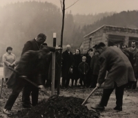 Sázení stromu republiky na podzim roku 1968