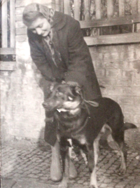 Marie Šolleová a pes Kuk, padesátá léta