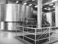 Varna Gambrinusu z roku 1973