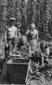 Studentská chmelová brigáda, Růžena Černíková  vlevo s copy  