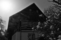 Chalupa Niny Havlíkové v Zahrádkách 