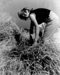 Marie Lauermannová na bridádě