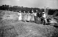 Práce při žních u dědy v Zimoři na Kokořínsku