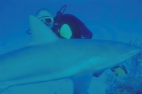 Petr Mamula - potápění, 90. léta 20. stol.