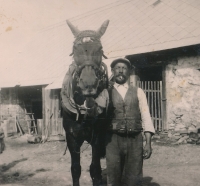 Josef Šulc, dědeček Jaroslava Krause, na statku v Hracholuskách, rok 1941
