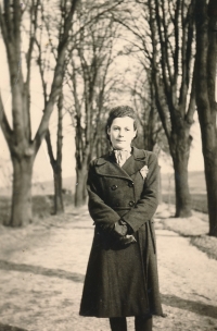Matka pamětníka Marie Krausová, rok 1940