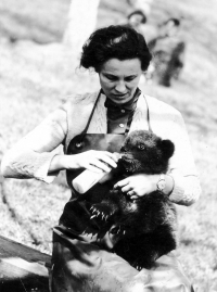 Matka Vlasta Sedlářová s medvídětem v zoologické zahradě, Ústí nad Labem, počátek 60. let