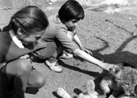Vpravo Eva Sedlářová s kamarádkou a lvíčaty v zoologické zahradě v Ústí nad Labem, asi 1963