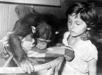 Eva Sedlářová a samička šimpanze Zuzana, Ústí nad Labem, počátek 60. let