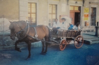 Zbyněk Vlk odváží návštěvníky od parního vlaku na slavnostní otevření prvního muzea na bývalé faře v Jindřichovicích pod Smrkem, 2000