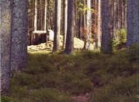 Obnovený bunkr, o který se manželé Hojdekrovi starají