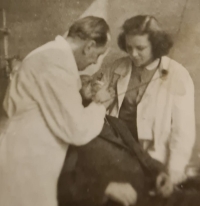 Jako instrumentářka, rok 1954