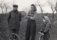 Otec Karel s manželkou pamětníka Anežkou, roz. Podešvovou, asi 1954