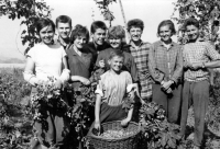 Vladislav Cée třetí zprava na chmelové brigádě, 1961