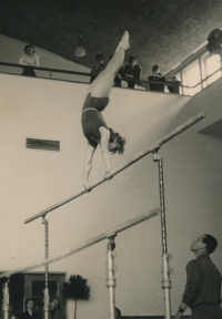 Alena Danišová na bradlech, cca 1953