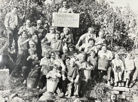 Vinobraní, 1977