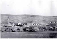 Podnik Kordárna ve Velké nad Veličkou, 60. léta