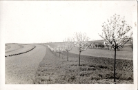 Rodinný jabloňový sad, 40. léta